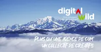 Digital Wild