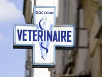 Pano Sign Service