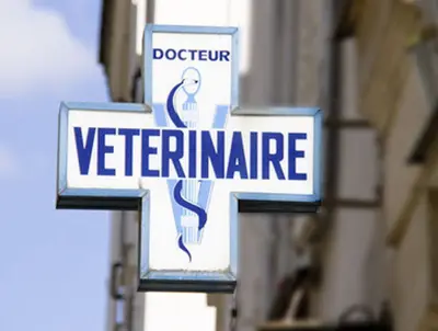 Pano Sign Service