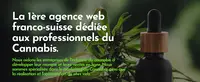 Le Mouton À Cinq Pattes