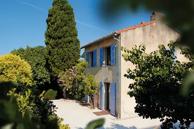 Canopée