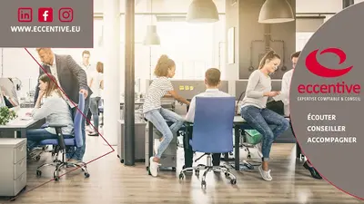 Eccentive - Audit Alliance Sud Expert-comptable et Conseils en Entreprise À Auch