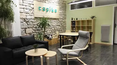 Capika Conseil & Expertise Bayonne