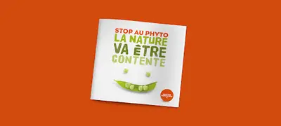 Agence Staccato