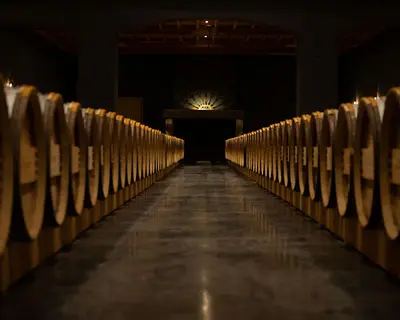 Sarthou & Associés Wine I Cabinet de Recrutement Vins & Spiritueux Bordeaux