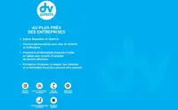 Dv Experts