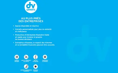 Dv Experts