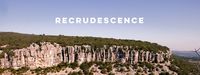 Recrudescence - Recrutement et Accompagnement Rh
