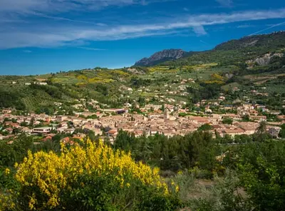 Eurex Provence Experts
