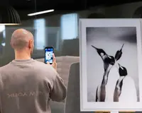 Agence de Marketing Digital - Tendances.mc