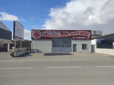 Alzina