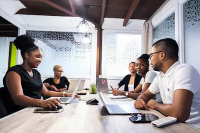 Bitwip - Bureau Guyane