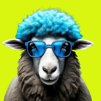Marketing Digital Top Moumoute