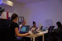 Mimetism Agency