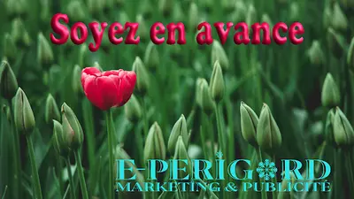 E-perigord