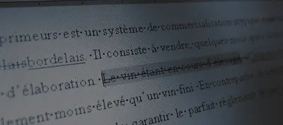 Correcteur Pro - Bruno Perea