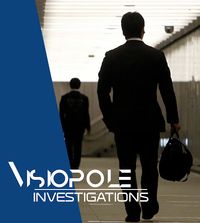 Visiopole Investigations