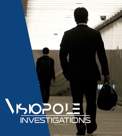 Visiopole Investigations