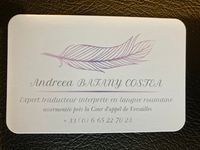 Andreea Batany Costea