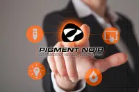 Agence Pigment Noir
