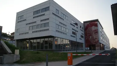Pando Factory