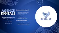 Agence Bluebird, Développement de Site Web et Marketing Digital