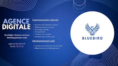 Agence Bluebird, Développement de Site Web et Marketing Digital