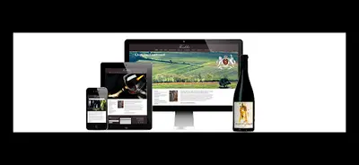 Vinocom