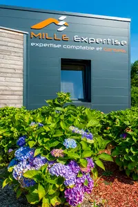 Mille Expertise