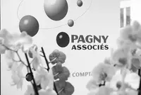 Pagny Associés - Expert-comptable À Gretz-armainvilliers