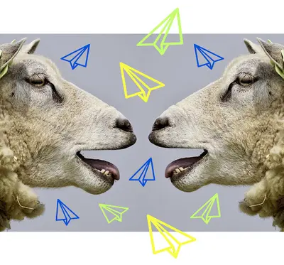 Bombom Communication