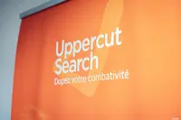 Uppercut Search