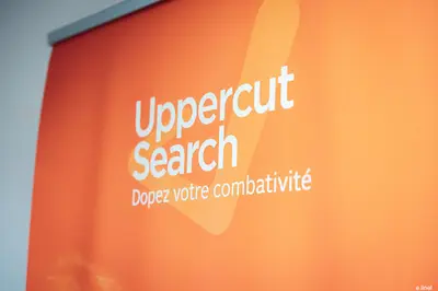 Uppercut Search