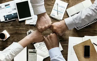 Livingstone Expert Cse - Expert du Comité Social et Économique