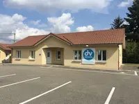 Dv Experts