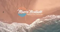 Communication - Agence Marée Montante