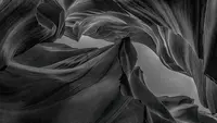 Eva Verny Design