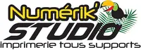 Numerik Studio