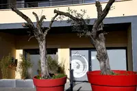 Adezio - le Pontet