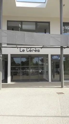 Teoria Expertise