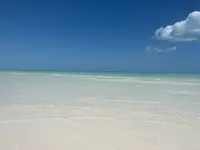 Tibo Tours