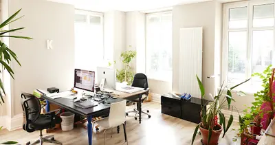 La Suite