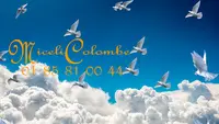 Lâcher de Colombes | Mariages, Enterrements, Inaugurations en Île-de-france