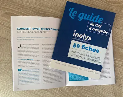 Inelys Votre Expert Comptable À Lyon, Paris, Annecy et en Saône et Loire