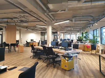 Wmh Project - Lyon