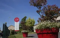 Cp Création
