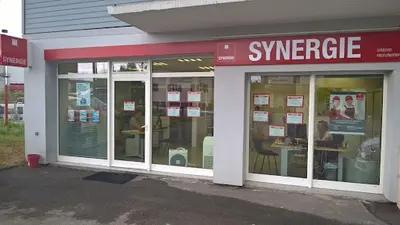 Agence Intérim Synergie Thonon les Bains - Marin