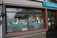 Xtreme Publicité