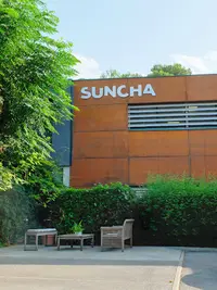 Suncha