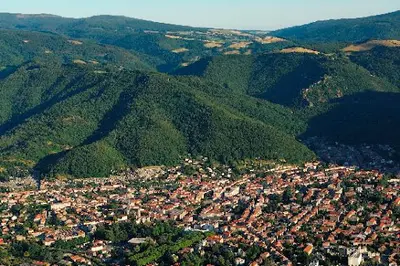Scp Halna du Fretay, de la Jonquiere et Sauvage
